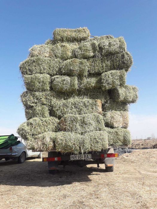 Форд транзит холати зор ходовой бакуват  пул керак шу учун сотаман!