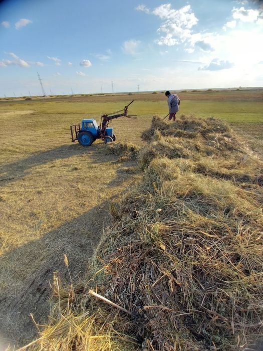 Трактор Мтз 80 сатылады в комплекте!
