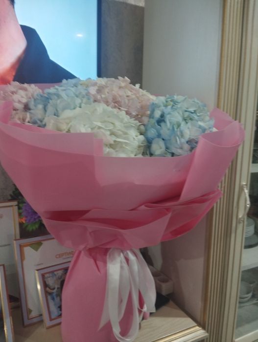 Цветы Гантезия недорого.