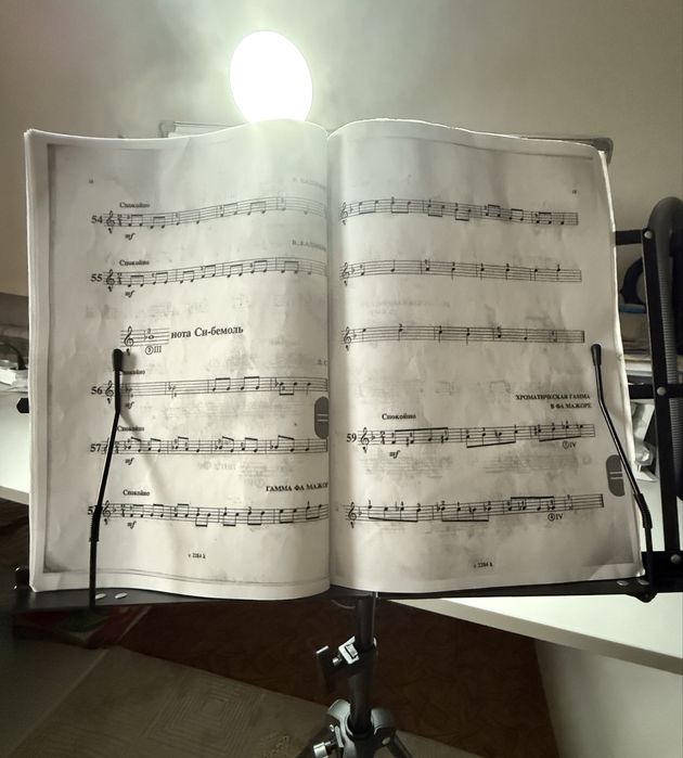 Пюпитр Rowell – регулируемый держатель для нот