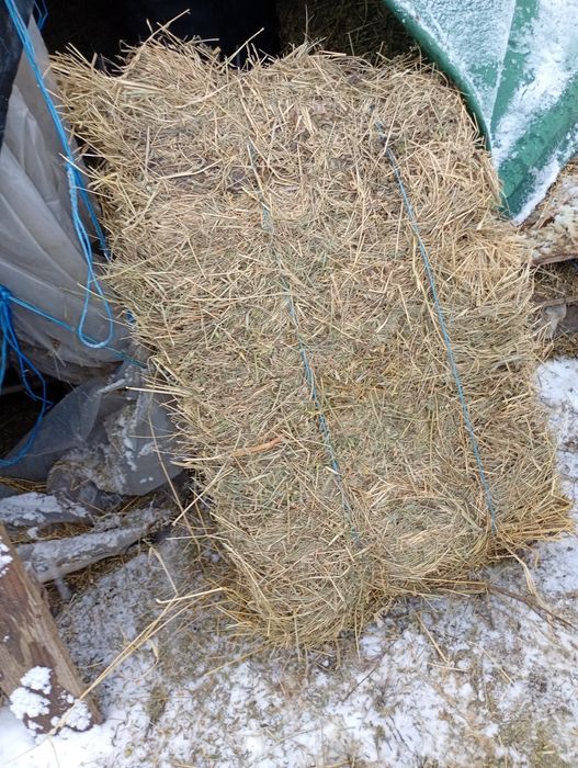 Vand baloți lucernă, fan și paie