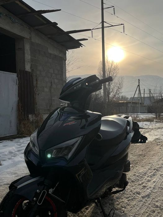 М8 про лия матор