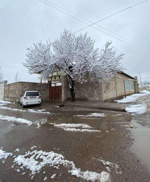 Chirchik shaxar Niyozbek srochnasotiladi