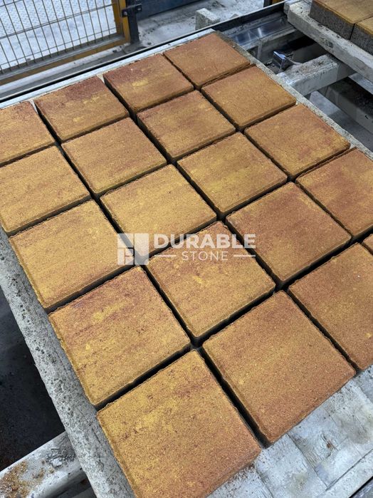 Bruschatka “Color Mix” . bruschatkalar