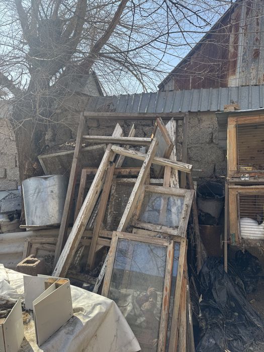 Отын ағаштар тегін