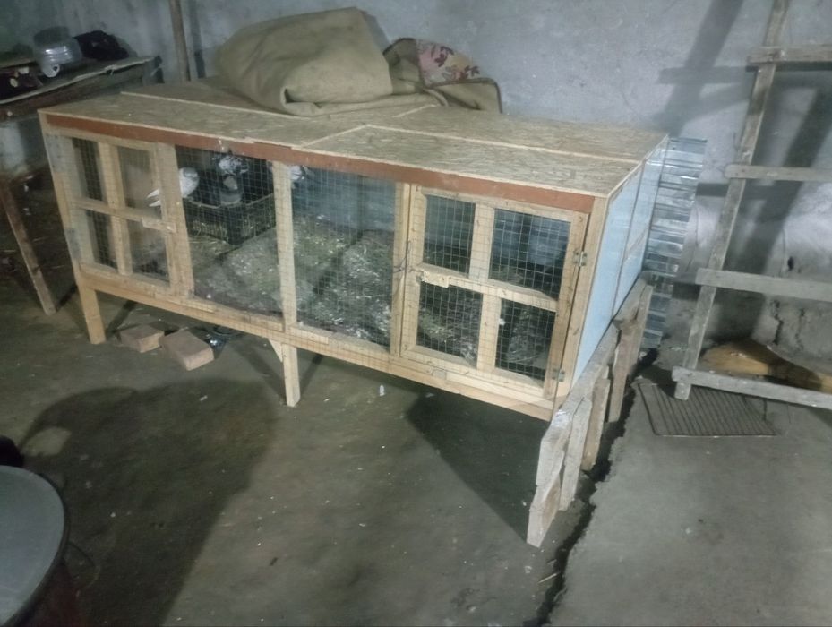 Quyon katak sifatli xizmat