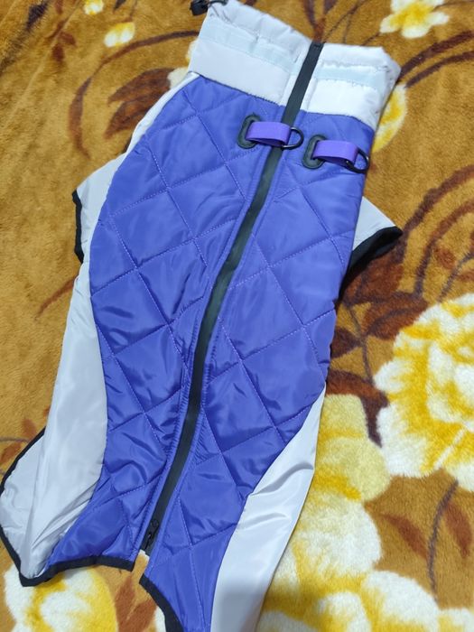 Одежда для собак