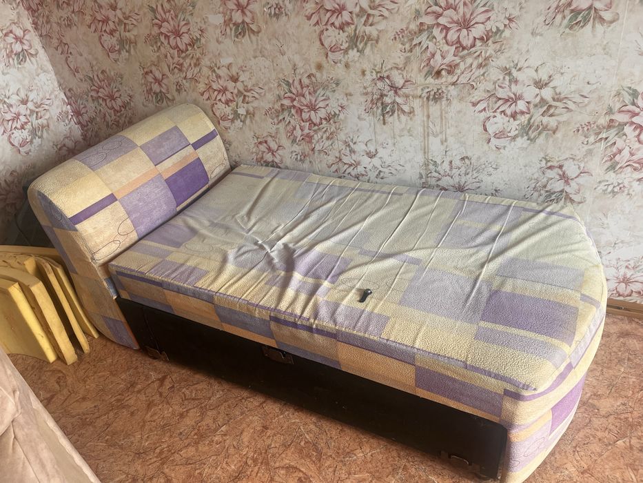 Отдадим бесплатно