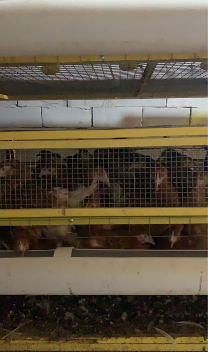 Продается дом-ферма-склад