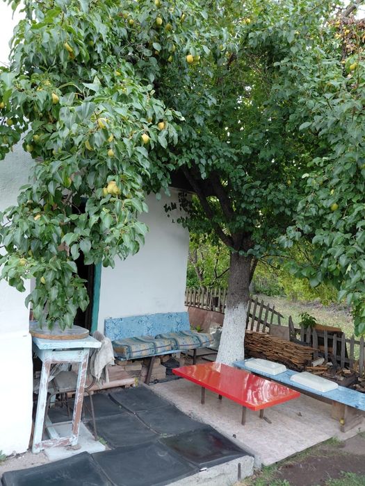 Дача, мжс Строитель, правый берег