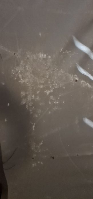 Canapea extensibila Mobexpert