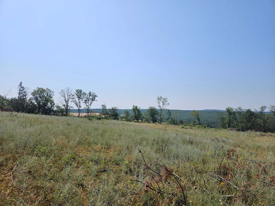 Парцел за жилищно строителство