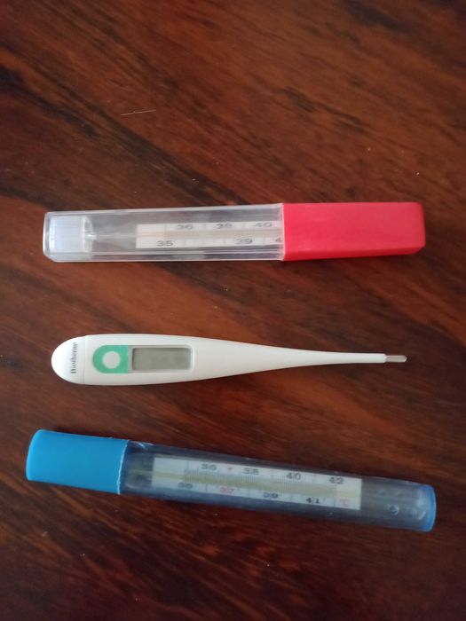 термометр, градусник