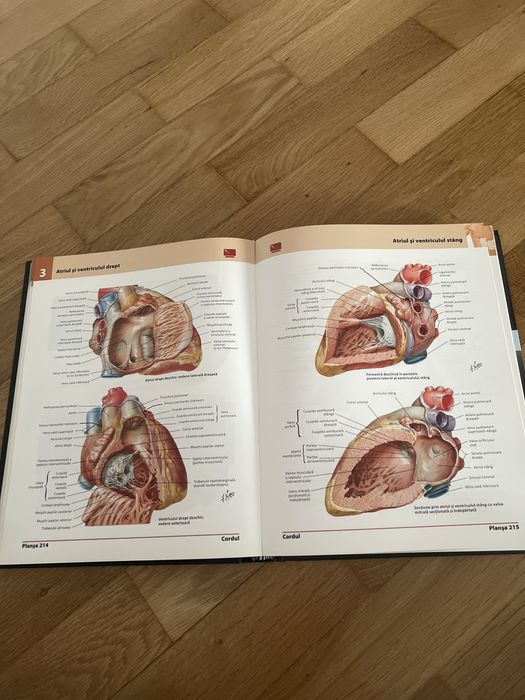 Atlas de anatomie a Omului Frank H. Netter editia a 5a