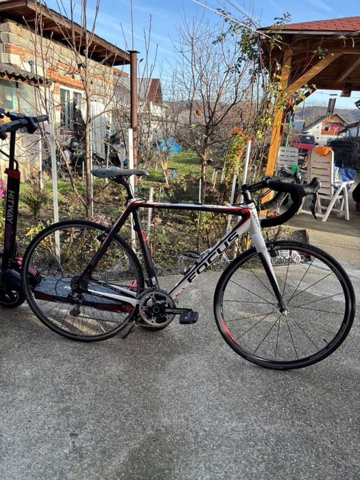 Cursiere carbon (focus, felt , scott , eddy merckx)