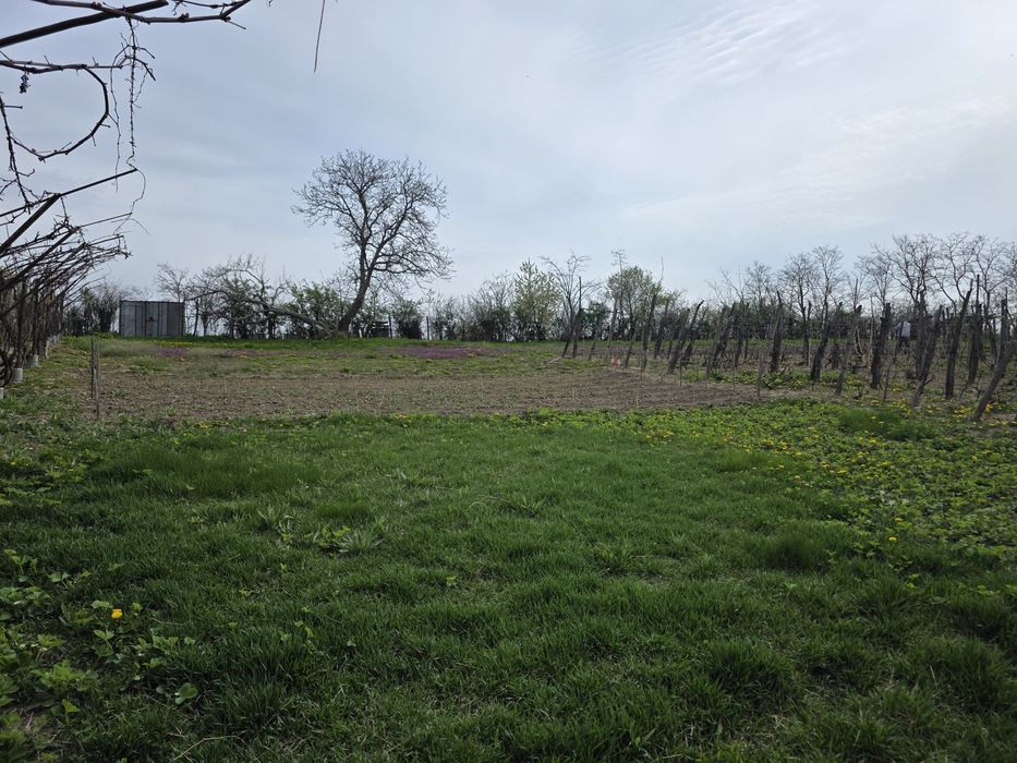 Casa de vânzare cu teren generos