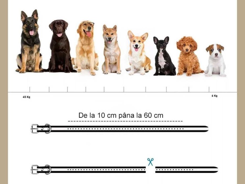 Zgarda Еlectric Аntilatrat Caini impermeabila Dresaj Caini Vibratie