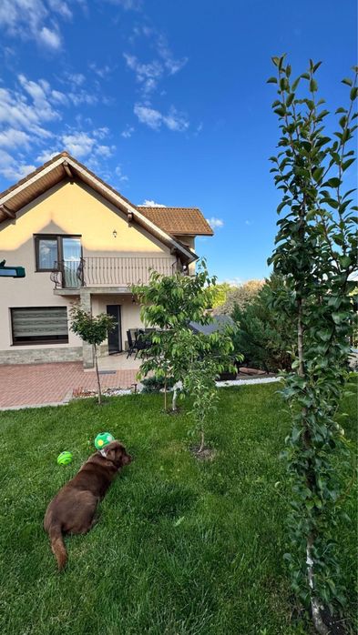 Vand casa spatioasa si bine intretinuta in cartier sigmir