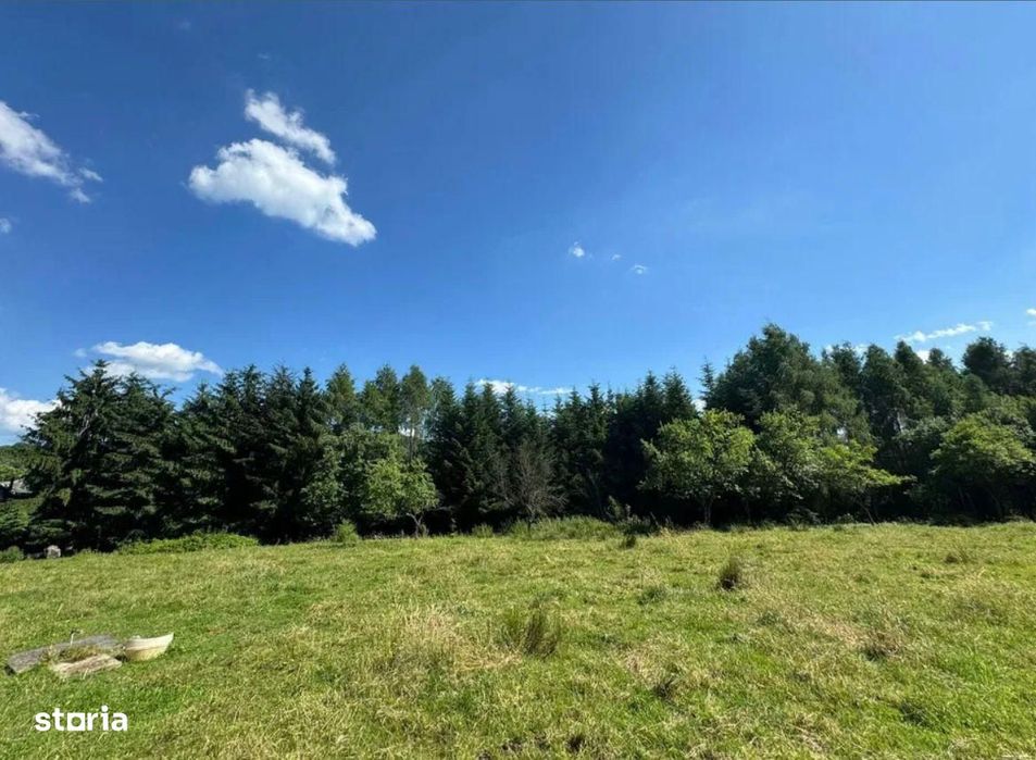 Teren intravilan 5.755 mp | Zona Muzeul Satului Maramuresean, Sighetu