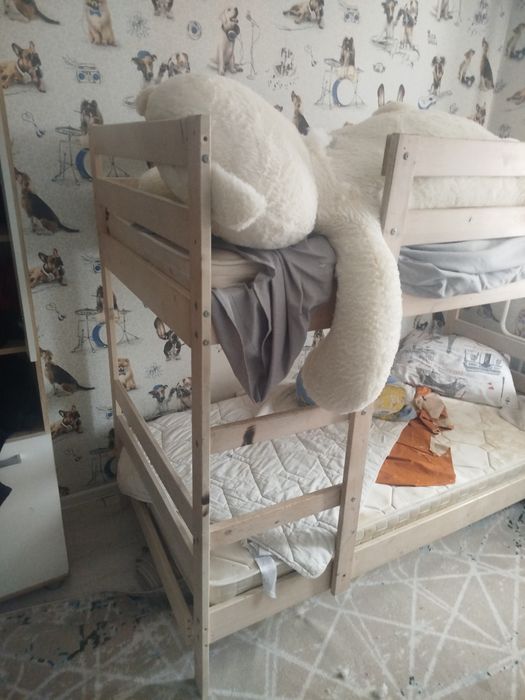 отдам в дар самовывоз