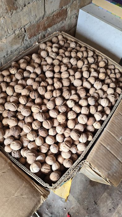 Коробка грецких орехов 15–20 кг