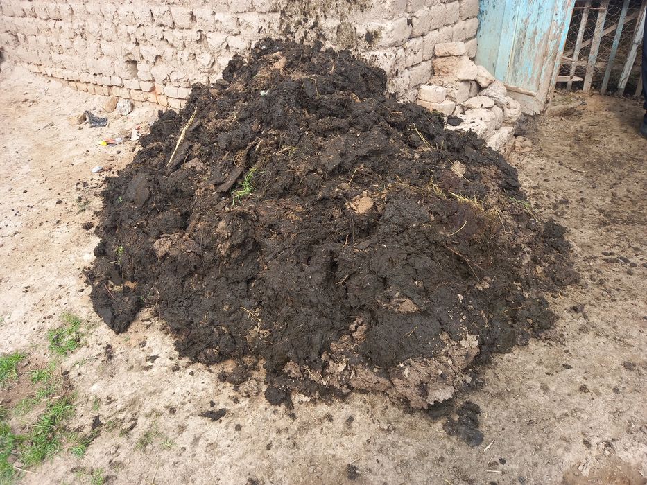 Tabiiy qo'y go‘ngi (nuri) sotiladi