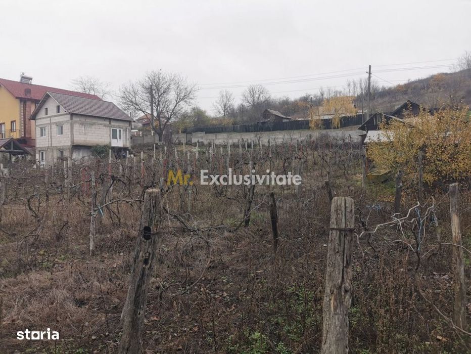 De vanzare casa in Argetoaia cu teren 7.000 mp