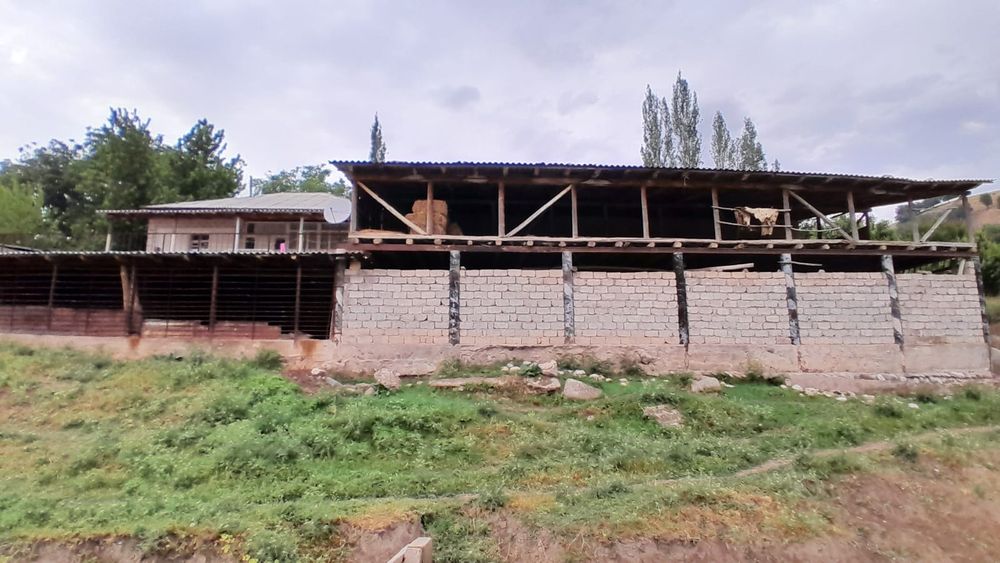 24 соттик участок сотилади Бустонлик тумани Галавасой Тогизкул кишлоги