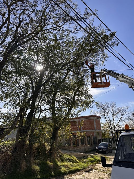 Почистване на изоставени парцели/дворове/запустели терени/Мулчиране