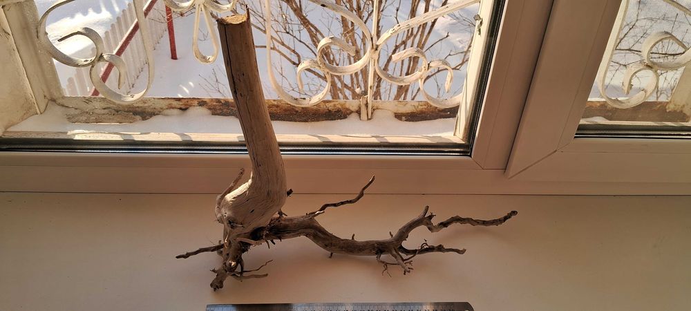 Коряга в аквариум