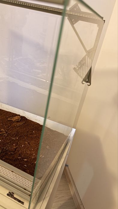 Terrarium diversa 60x30x30 – ideal pentru gecko, șarpe,