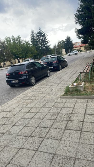 Seat Ibiza 6L 1.9 TDI 131 hp