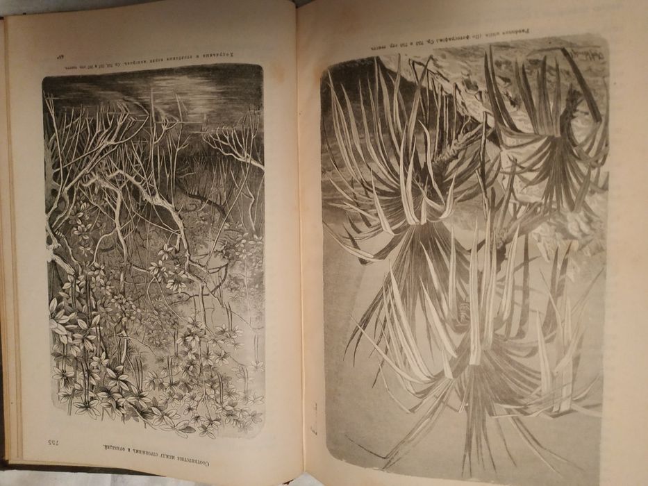 Жизнь растений. В 2-х томах. А.Кернер фон Марилаун