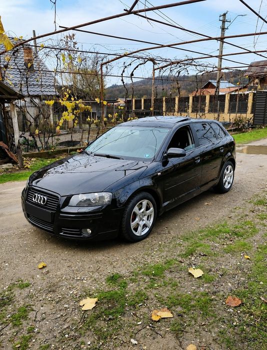 Audi A3 8p 2.0 tdi 170 cp