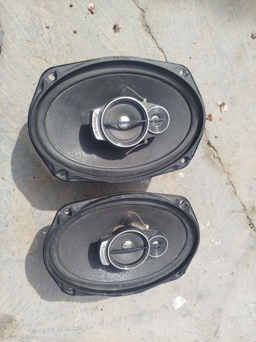 Pioneer arginal kalonka