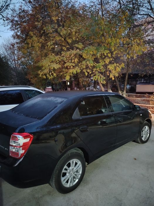 Cobolt 2024 Black ltz.