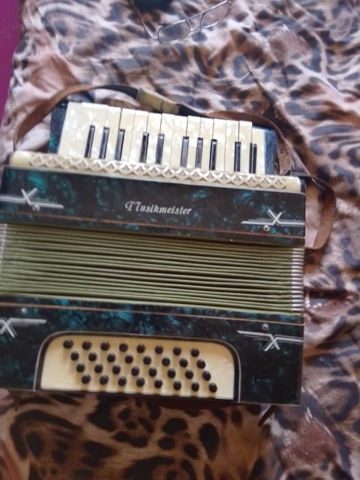 Acordeon in stare foarte buna