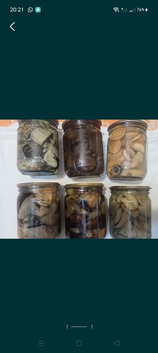 Грибы маринованные