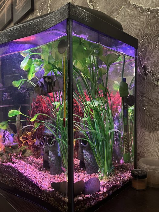 Продам аквариум..