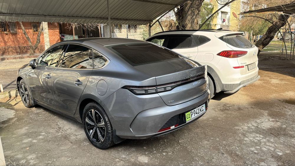 Byd Chazor full paket