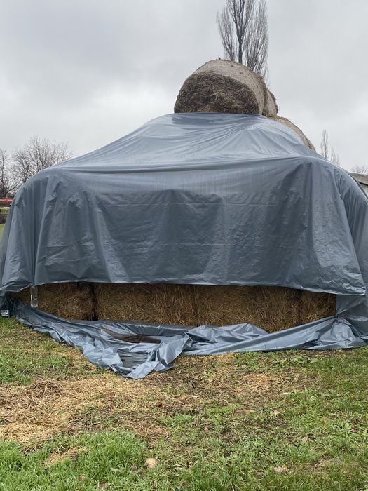 Baloti de paie de grau