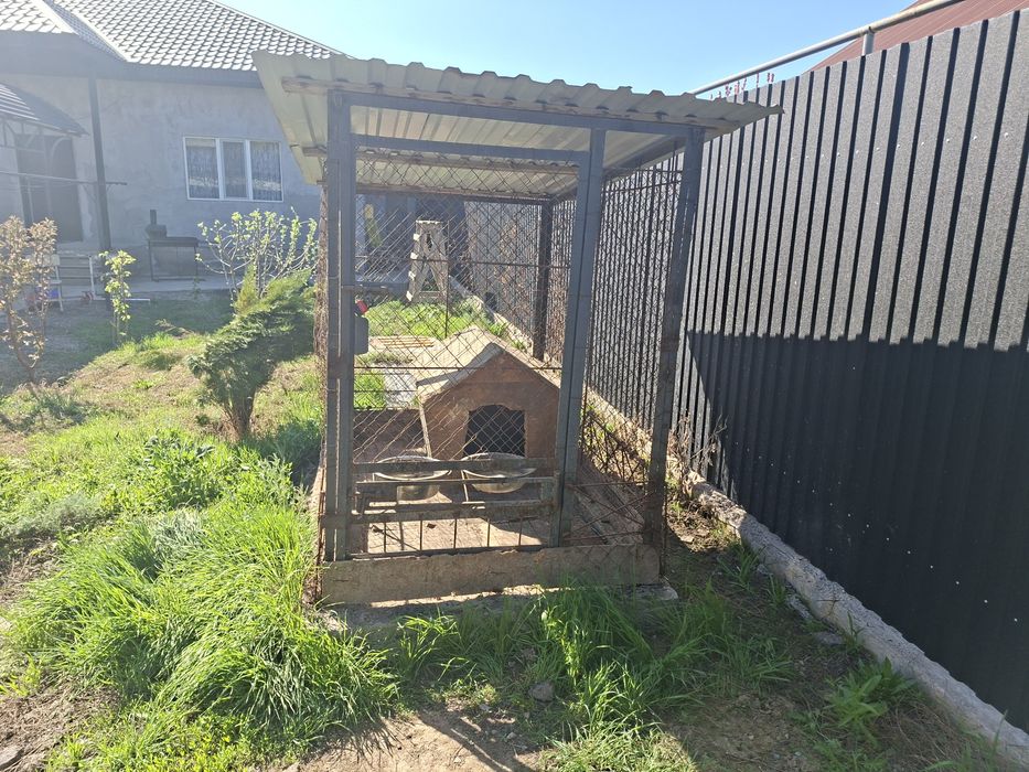 Вольер для собаки