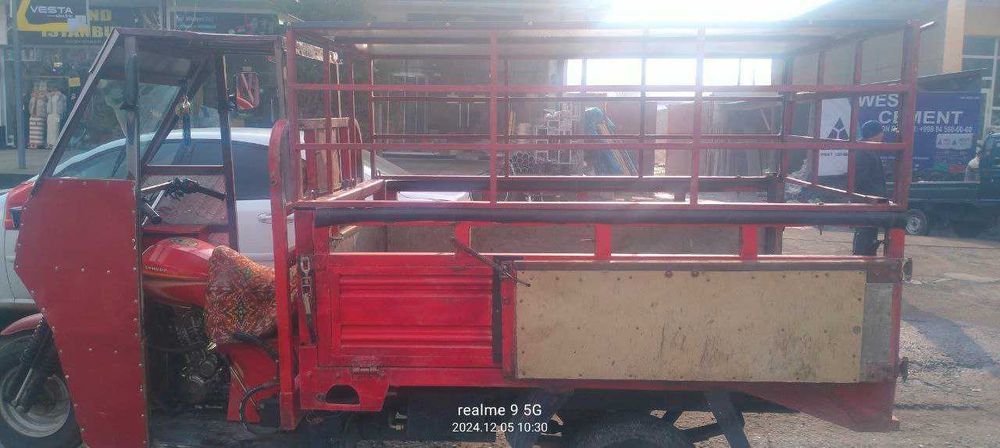 Муравей-самосвал, 2018 йил