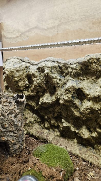 Готово оборудвано терариум 50/30/30 хоризонтално