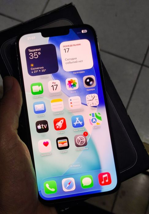 iPhone 13 Pro Max