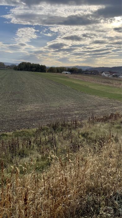 Teren arabil suprafață 3600 mp