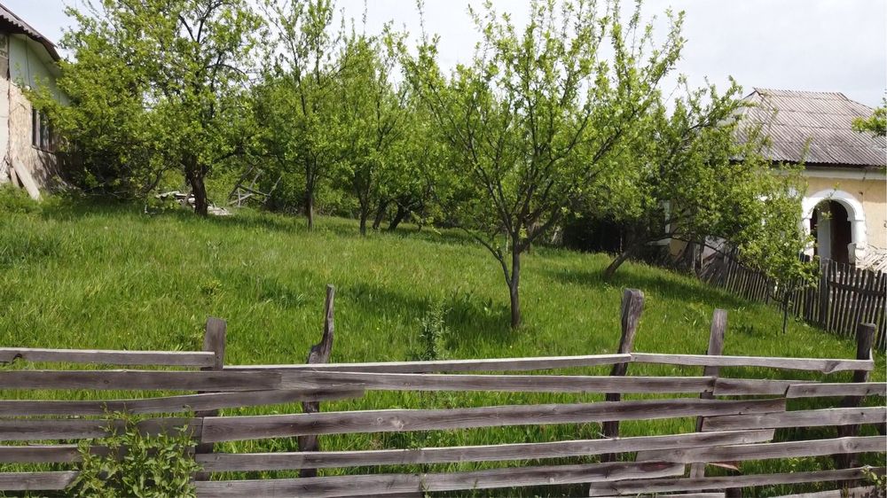 Teren de vanzare Jud. Arges, Berevoesti