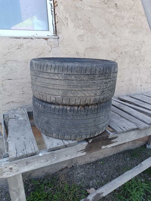 Автошины, continental