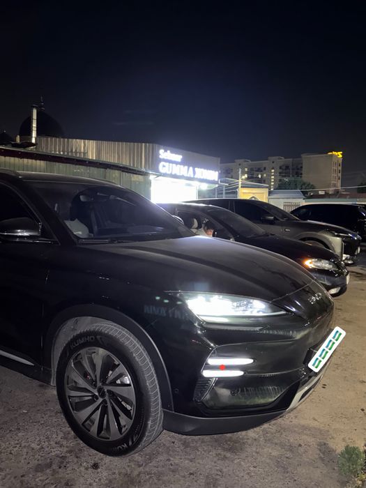 Byd champion 605