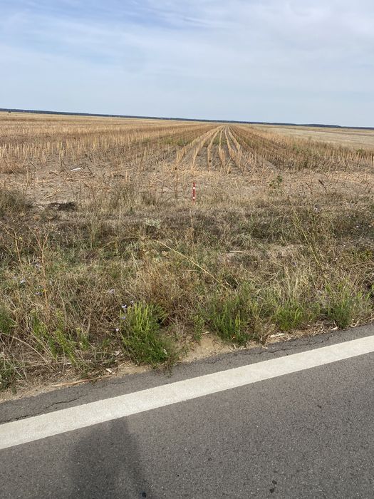 Teren agricol 15.000 mp,front la asfalt  DJ 611 Dâmbovița